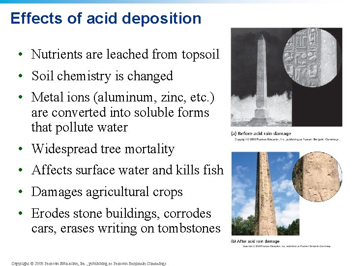 Effects of acid deposition • Nutrients are leached from topsoil • Soil chemistry is