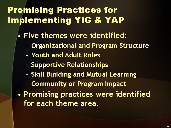 Promising Practices for Implementing YIG & YAP • Five themes were identified: – –