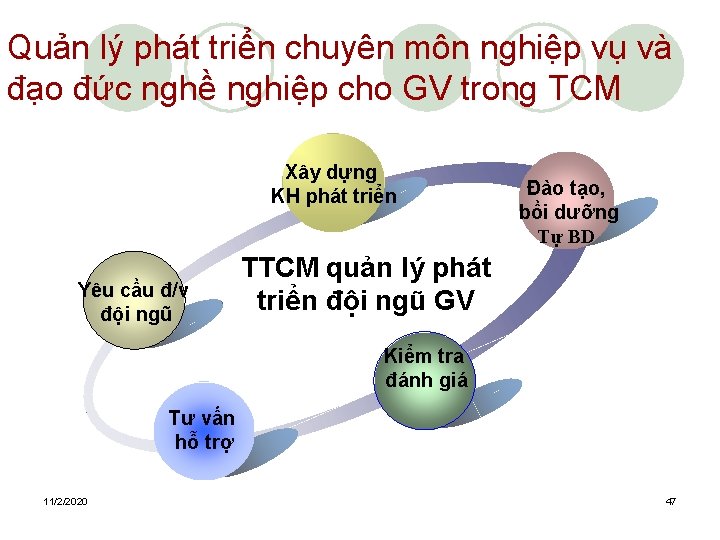 Quản lý phát triển chuyên môn nghiệp vụ và đạo đức nghề nghiệp cho