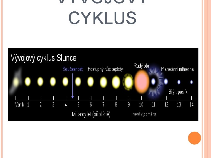 VÝVOJOVÝ CYKLUS 