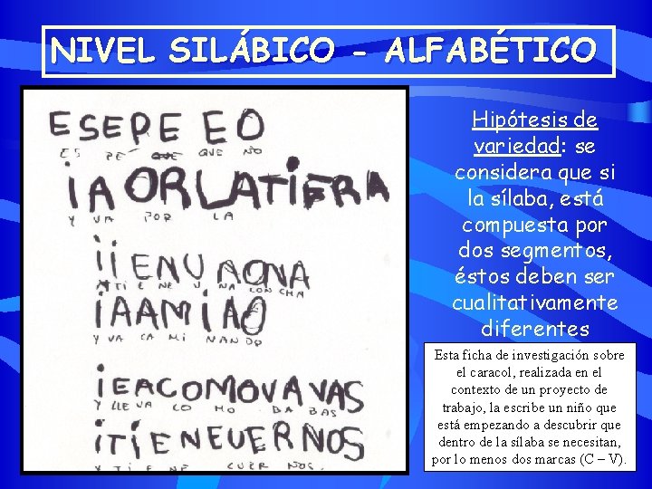 NIVEL SILÁBICO - ALFABÉTICO Hipótesis de variedad: se considera que si la sílaba, está