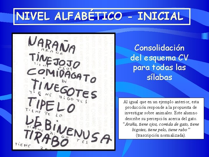 NIVEL ALFABÉTICO - INICIAL Consolidación del esquema CV para todas las sílabas Al igual
