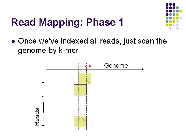 Read Mapping: Phase 1 Once we’ve indexed all reads, just scan the genome by