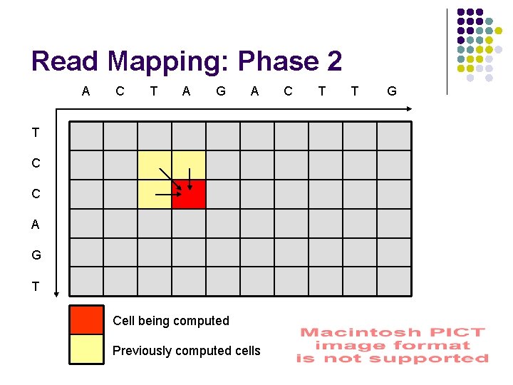 Read Mapping: Phase 2 A C T A G A T C C A