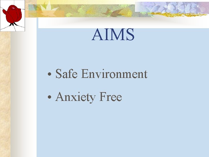 AIMS • Safe Environment • Anxiety Free AIMS • Safe Environment • Anxiety Free