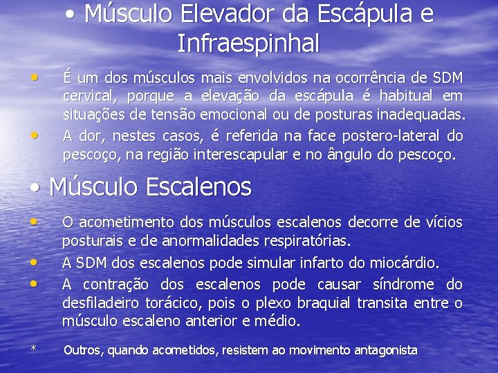  • Músculo Elevador da Escápula e Infraespinhal • • É um dos músculos