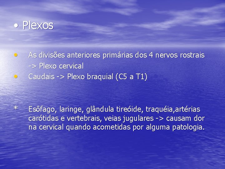  • Plexos • • * As divisões anteriores primárias dos 4 nervos rostrais