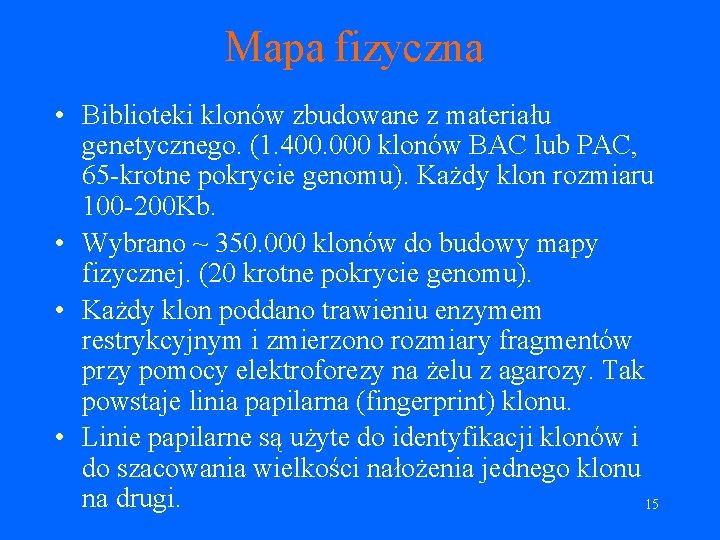 Mapa fizyczna • Biblioteki klonów zbudowane z materiału genetycznego. (1. 400. 000 klonów BAC