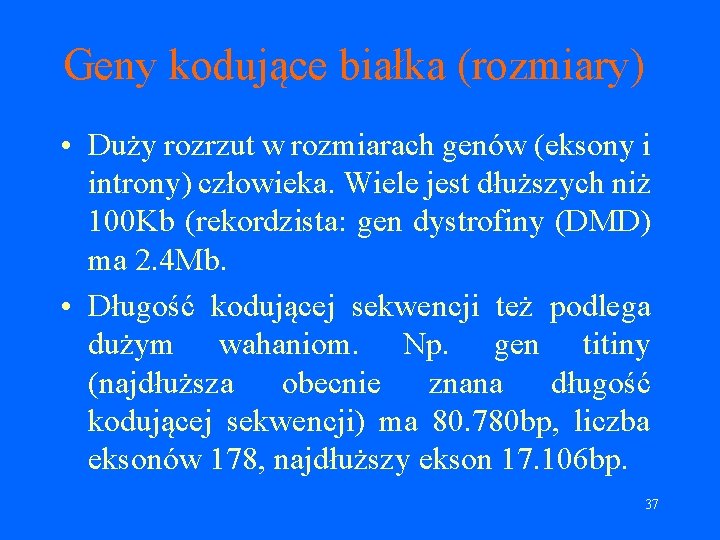 Geny kodujące białka (rozmiary) • Duży rozrzut w rozmiarach genów (eksony i introny) człowieka.