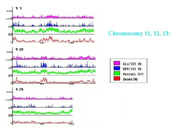 Chromosomy 11, 12, 13: Korelacja gęstości genów Z innymi wielkościami 68 