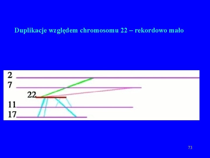 Duplikacje względem chromosomu 22 – rekordowo mało 73 