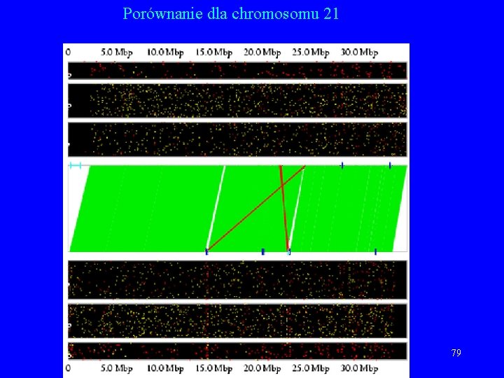 Porównanie dla chromosomu 21 79 