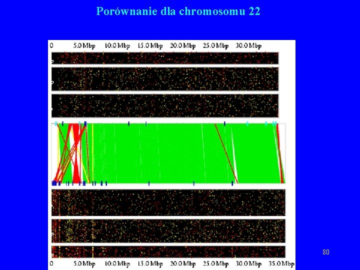 Porównanie dla chromosomu 22 80 