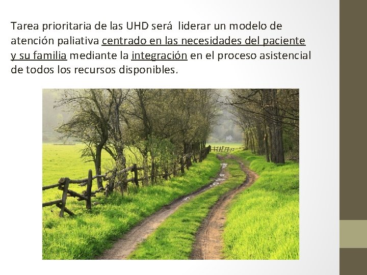 Tarea prioritaria de las UHD será liderar un modelo de atención paliativa centrado en