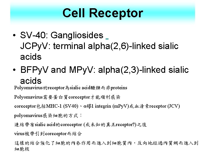 Cell Receptor • SV-40: Gangliosides JCPy. V: terminal alpha(2, 6)-linked sialic acids • BFPy.