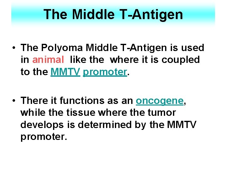 The Middle T-Antigen • The Polyoma Middle T-Antigen is used in animal like the