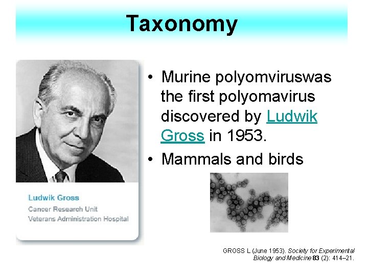 Taxonomy • Murine polyomviruswas the first polyomavirus discovered by Ludwik Gross in 1953. •