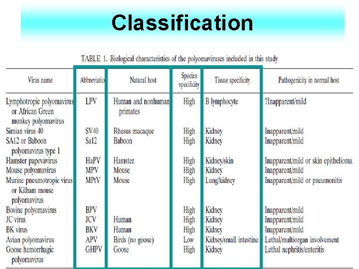 Classification 