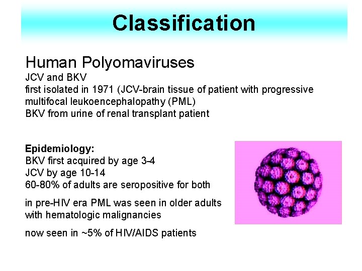 Classification Human Polyomaviruses JCV and BKV first isolated in 1971 (JCV-brain tissue of patient