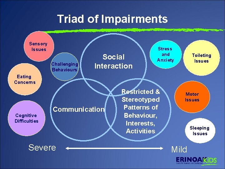 Triad of Impairments Sensory Issues Challenging Behaviours Social Interaction Stress and Anxiety Toileting Issues