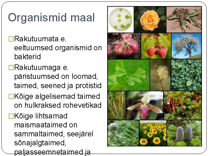 Organismid maal �Rakutuumata e. eeltuumsed organismid on bakterid �Rakutuumaga e. päristuumsed on loomad, taimed,