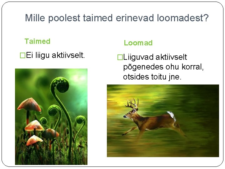 Mille poolest taimed erinevad loomadest? Taimed �Ei liigu aktiivselt. Loomad �Liiguvad aktiivselt põgenedes ohu