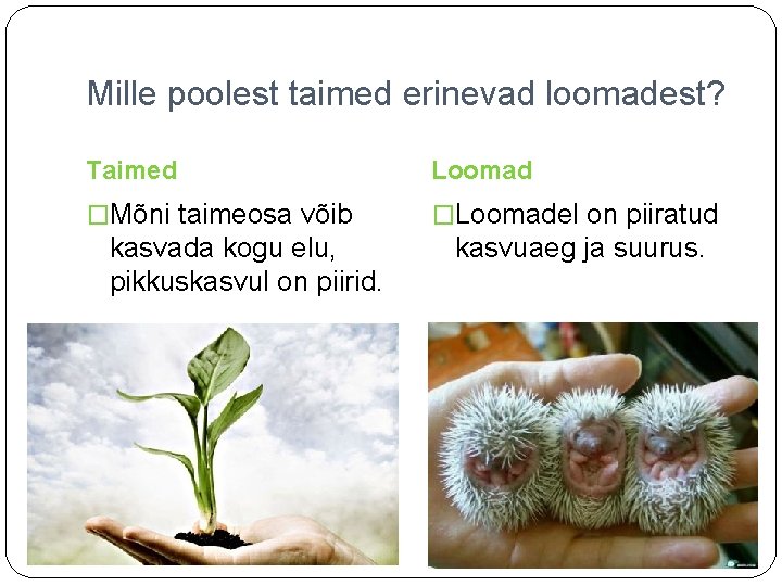 Mille poolest taimed erinevad loomadest? Taimed Loomad �Mõni taimeosa võib �Loomadel on piiratud kasvada