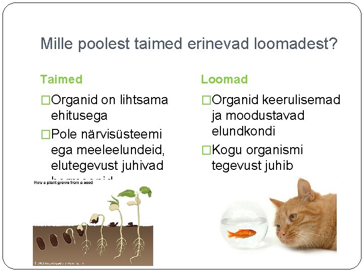 Mille poolest taimed erinevad loomadest? Taimed Loomad �Organid on lihtsama �Organid keerulisemad ehitusega �Pole