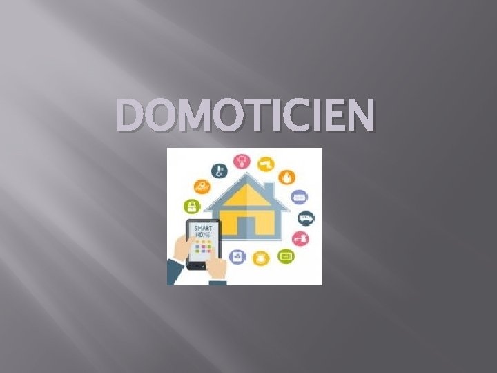 DOMOTICIEN 