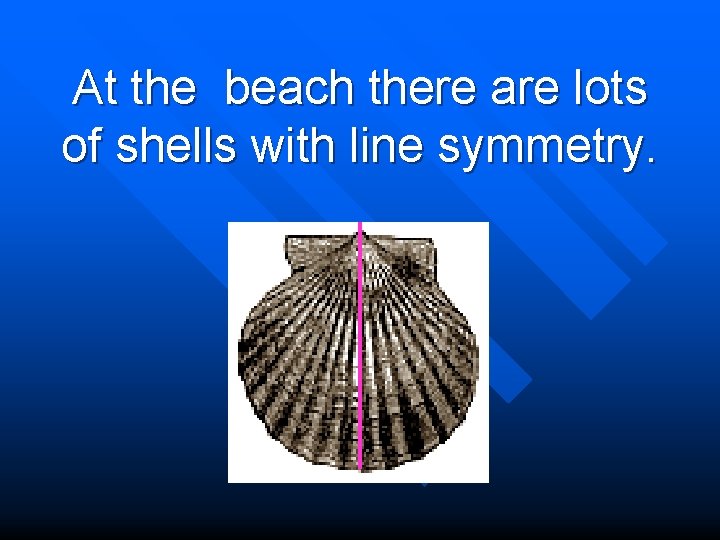 At the beach there are lots of shells with line symmetry. 