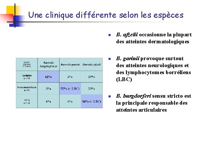 Une clinique différente selon les espèces n n n B. afzelii occasionne la plupart