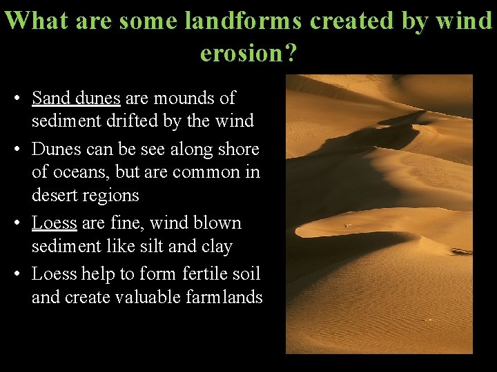 What are some landforms created by wind erosion? • Sand dunes are mounds of