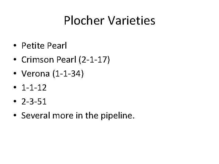 Plocher Varieties • • • Petite Pearl Crimson Pearl (2 -1 -17) Verona (1