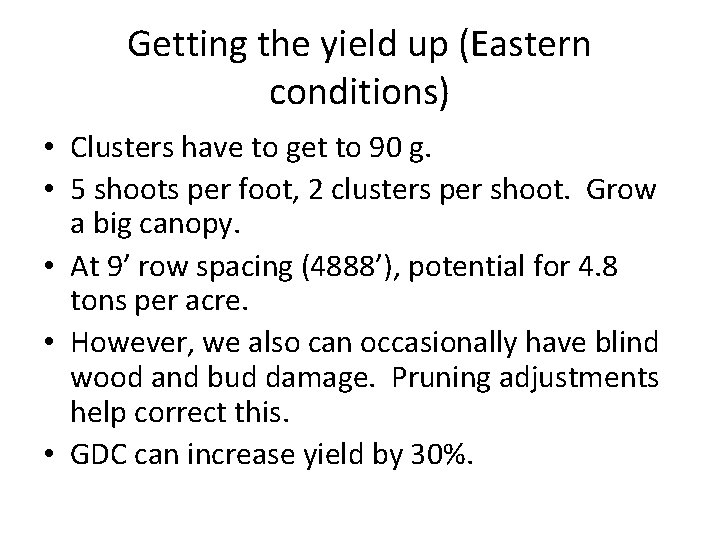 Getting the yield up (Eastern conditions) • Clusters have to get to 90 g.