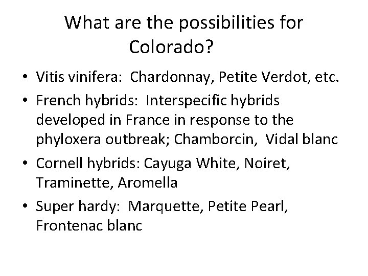 What are the possibilities for Colorado? • Vitis vinifera: Chardonnay, Petite Verdot, etc. •