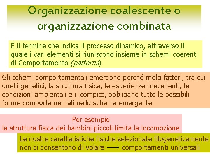 Organizzazione coalescente o organizzazione combinata È il termine che indica il processo dinamico, attraverso