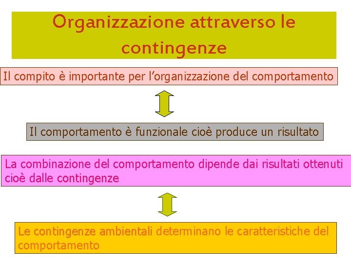 Organizzazione attraverso le contingenze Il compito è importante per l’organizzazione del comportamento Il comportamento