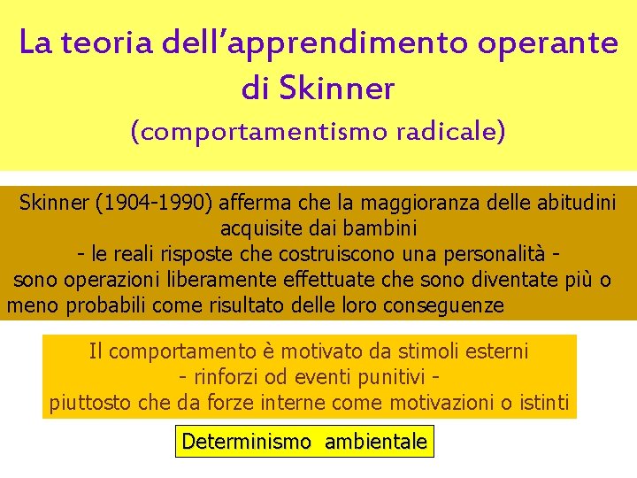 La teoria dell’apprendimento operante di Skinner (comportamentismo radicale) Skinner (1904 -1990) afferma che la