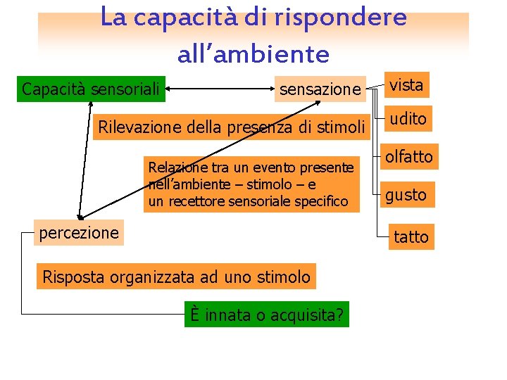 La capacità di rispondere all’ambiente sensazione vista Rilevazione della presenza di stimoli udito Capacità