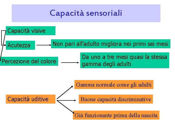 Capacità sensoriali Capacità visive Acutezza Non pari all’adulto migliora nei primi sei mesi Percezione