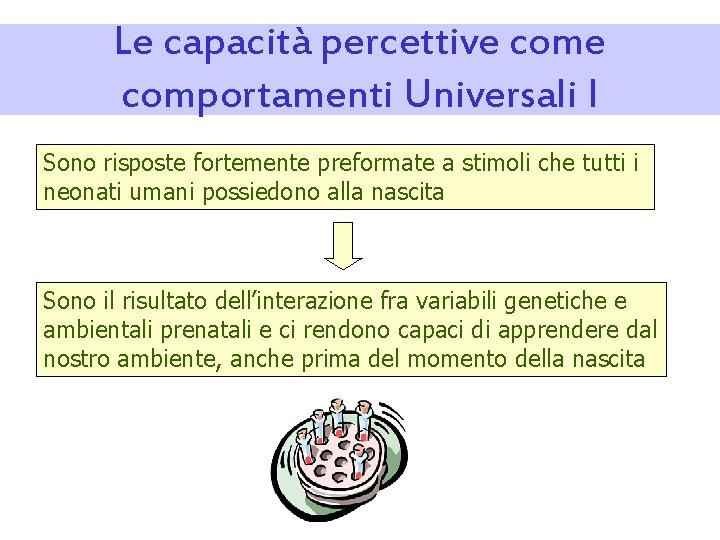 Le capacità percettive comportamenti Universali I Sono risposte fortemente preformate a stimoli che tutti