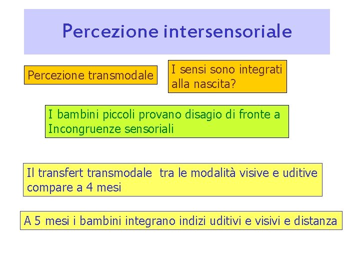 Percezione intersensoriale Percezione transmodale I sensi sono integrati alla nascita? I bambini piccoli provano