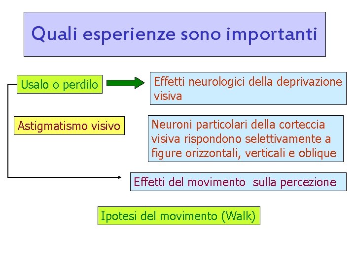 Quali esperienze sono importanti Usalo o perdilo Effetti neurologici della deprivazione visiva Astigmatismo visivo