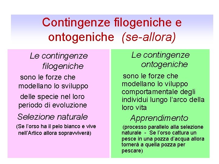 Contingenze filogeniche e ontogeniche (se-allora) Le contingenze filogeniche sono le forze che modellano lo