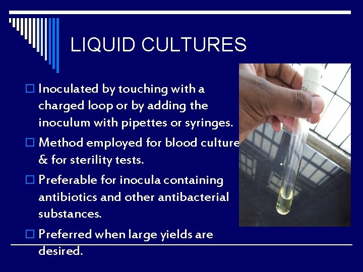 LIQUID CULTURES o Inoculated by touching with a charged loop or by adding the