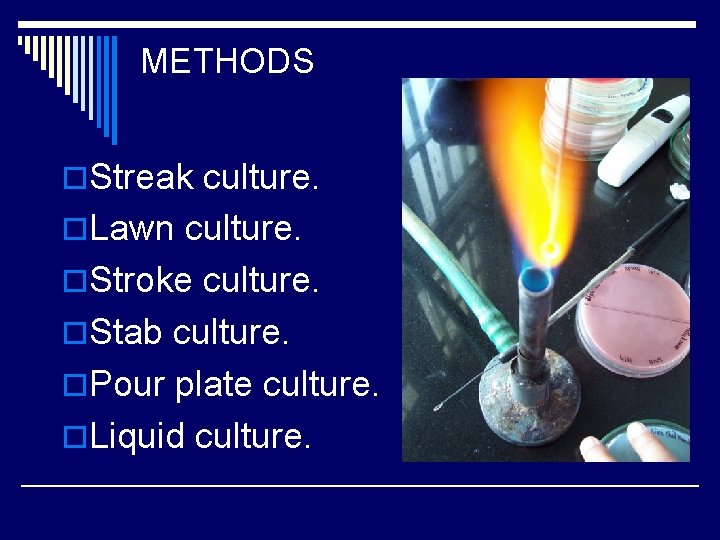 METHODS o. Streak culture. o. Lawn culture. o. Stroke culture. o. Stab culture. o.
