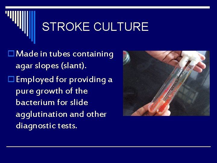 STROKE CULTURE o Made in tubes containing agar slopes (slant). o Employed for providing