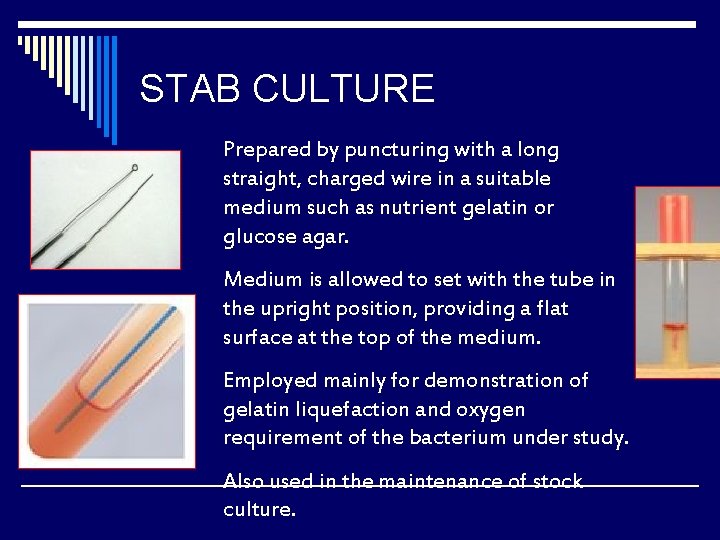 STAB CULTURE Prepared by puncturing with a long straight, charged wire in a suitable