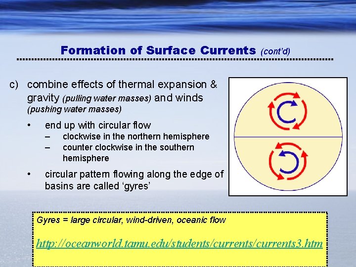 Formation of Surface Currents (cont’d) c) combine effects of thermal expansion & gravity (pulling