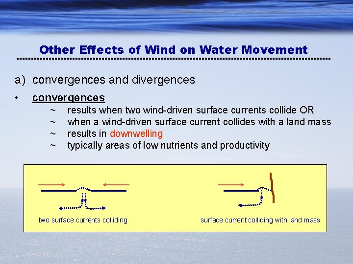 Other Effects of Wind on Water Movement a) convergences and divergences • convergences ~